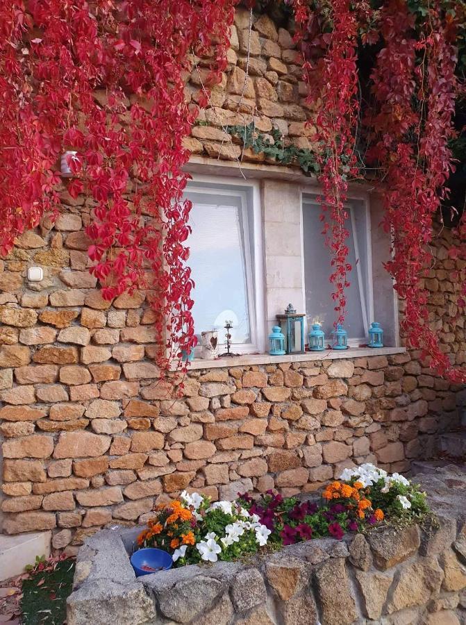 Best View Small House Free Parking Self Check-In Budapeşte Dış mekan fotoğraf
